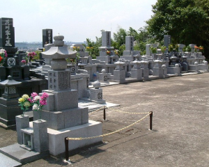 蓮華寺墓地の写真